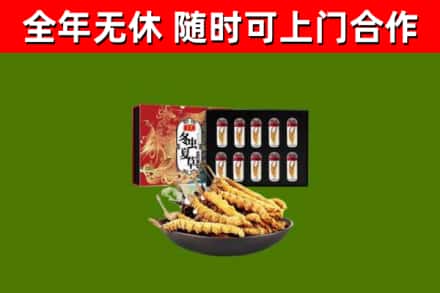 吉林省烟酒回收冬虫夏草礼盒.jpg