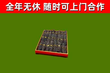 吉林省回收海参